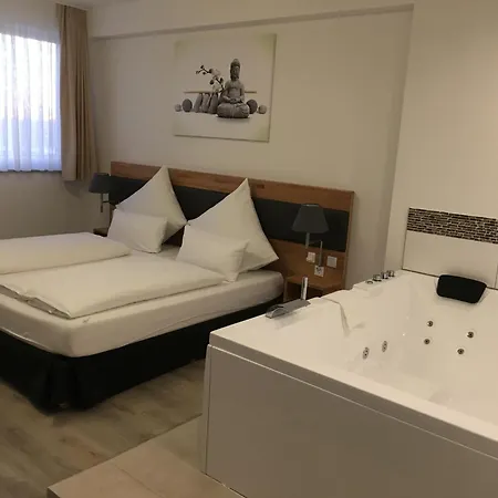 Hotell In Laisen 3*